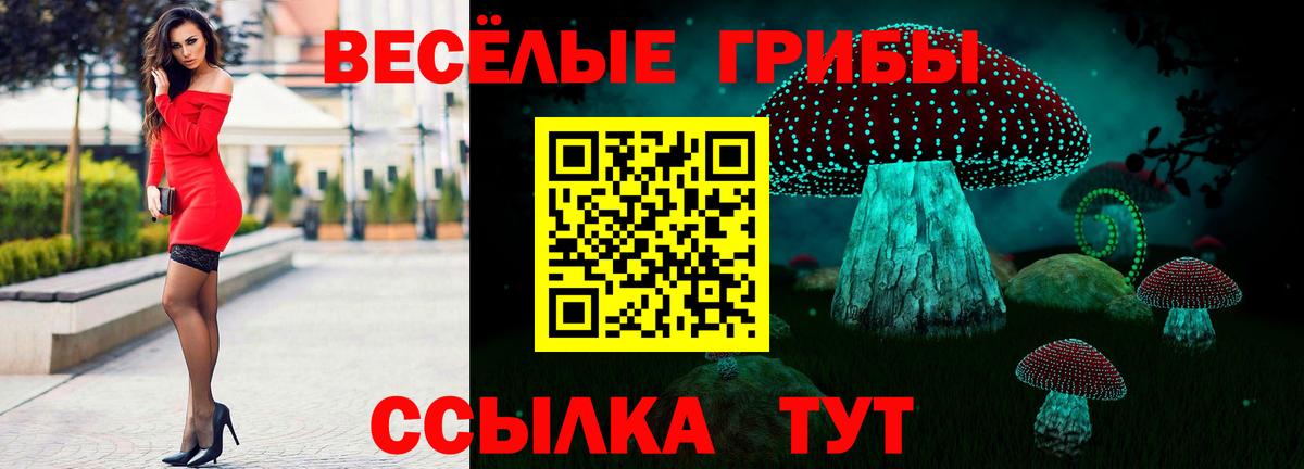 Галлюциногенные грибы Magic Shrooms  Вход с VPN  Галлюциногенные грибы MAGIC MUSHROOMS  Тихорецк 